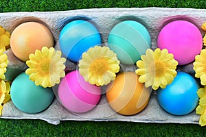 Colorful painted easter eggs and flowers in egg carton, top view