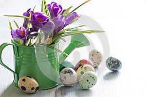 Colorful painted Easter eggs and spring crocus