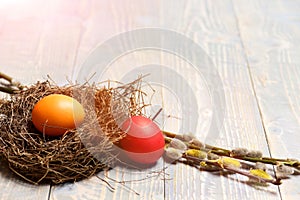 Colorful painted eggs in bird nest on wooden background, easter