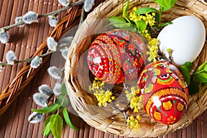 Colorful painted red eggs in wicker nest with pussycats and dogwood flower. photo