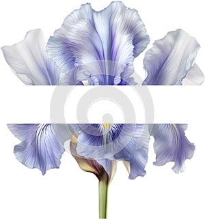 Colorful painting of Iris floral frame. AI-Generated.