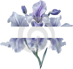 Colorful painting of Iris floral frame. AI-Generated.