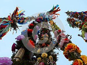 Colorful palms - Polish Easter tradition photo