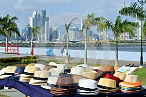 Colorful panama Hats