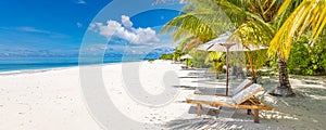 Colorful panoramic bright happy tropical landscape. Beach chairs umbrella leisure lifestyle carefree love couple travel