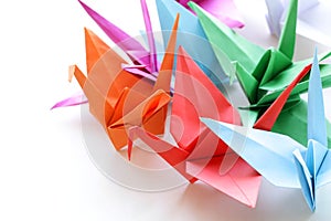 Colorful paper origami birds