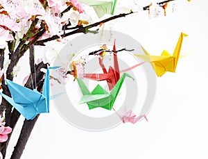 Colorful paper origami birds on flowering branches of cherry