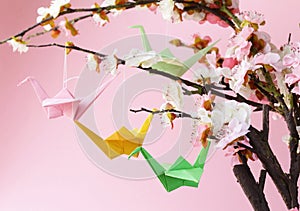 Colorful paper origami birds on flowering branches of cherry