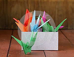 Colorful paper origami birds Japanese