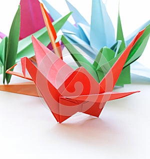 Colorful paper origami birds