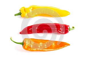 Colorful paprikas on the white background isolated.