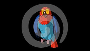 Colorful Parrot Gets Angry. Classic Handmade Animation with Alpha Channel.