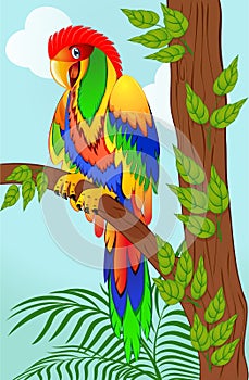 Colorful parrot on tree branch