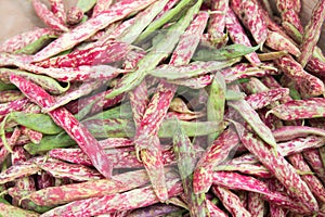 Colorful pattern with green and pink haricots photo