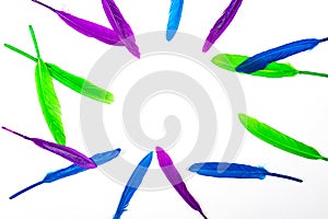 Colorful pattern made of feathers on white background, isolated.