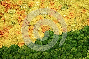 Colorful pattern of yellow roses and bright foliage, flower texture background, top view, floral wallpaper for design