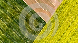 Colorful patterns in crop fields at farmland, aerial view, drone photo