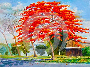 Colorful of peacock flower tree and wooden house with cloud photo