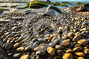 Colorful Pebbles Glittering in The Sunshine at A Rocky Beach