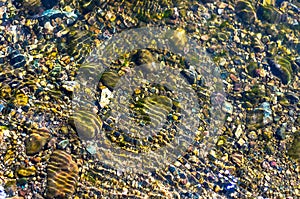 Colorful Pebbles in Glittering Water Ripples. Organic Natural Background