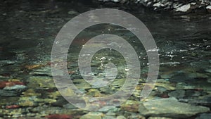 Colorful pebbles underneath the water