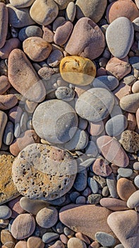 Colorful pebblestones on the ground near the shore of the sea - perfect for background
