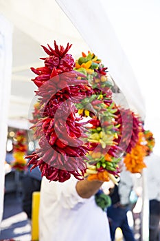 Colorful Peppers