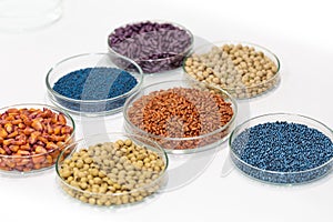 Colorful pesticide-treated rapeseed, sunflower, wheat, pea, soy, and corn seeds in a petri dish in the lab