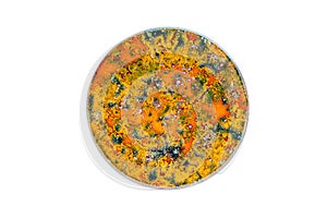 Colorful petri dish whit microorganism