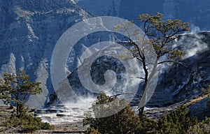 Colorful Photo of Mammoth Hotsprings