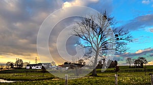 Colorful photo of a rural scene