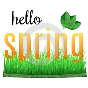 Colorful phrase Hello Spring with green leaves