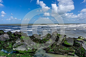 Colorful picture of the sea with rocks with green algae and a blue sky with white clouds in Zeeland, the Netherlands