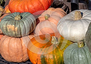 Colorful pile of pumpkins at a farm market