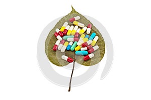 Colorful of pills on dry Sacred fig leaf Ficus religiosa L. , Pipal Tree, Bohhi Tree, Bo Tree, Peepul on white background