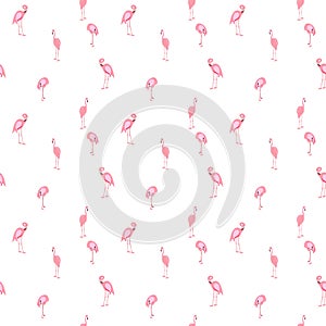 Colorful pink flamingo isolated on white background.