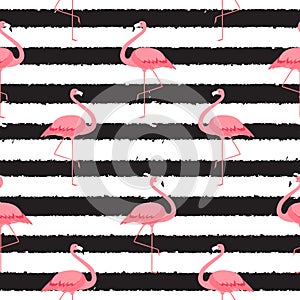 Colorful pink flamingo isolated on white background. Seamless pattern.  Illustration.