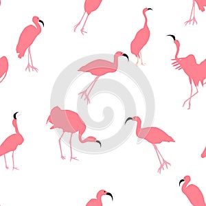 Colorful pink flamingo isolated on white background. Seamless pattern. Vector Illustration