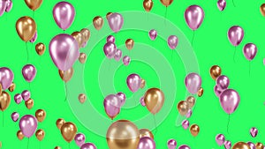 Colorful pink and golden balloons fly up on green chroma key background. Festive