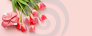 Colorful pink tulips and gift box with copy space. Background for womens day, 8 March, Valentines day, Saint Valentine 14 february