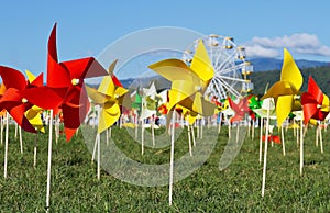 Colorful pinwheel on grass