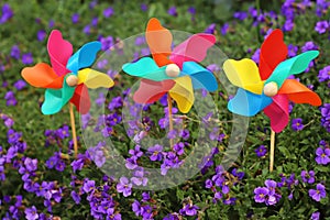 Colorful pinwheel toys between blue flowers