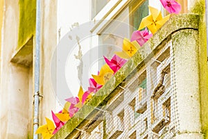 Colorful pinwheels