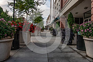 Colorful planters in downtown Statesville