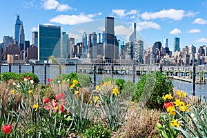 Colorful Plants and Flowers at Gantry Plaza State Park in Long Island City Queens with the Manhattan Skyline in the background