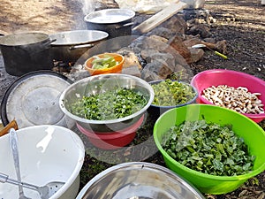 Field cooking- edible plants and vegetables in bowels and puts on the fire