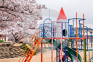 Colorful playground with cherry blossoms on park in Japan