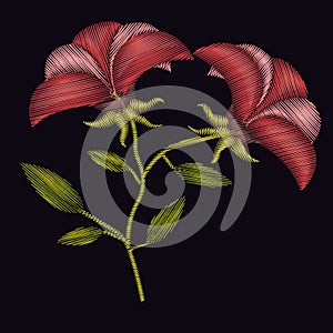 Colorful poinsettia flowers plant embroidery in black background