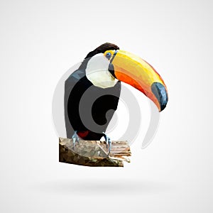 Colorful polygonal toucan bird, Vector