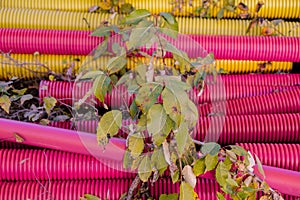 Colorful polyvinyl plumbing pipes in the evening